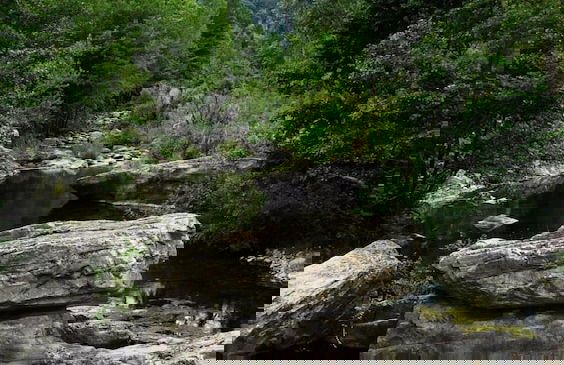 Mas Els Terrats - Foto 48