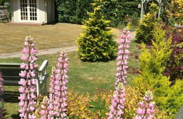 Westwood Cottage - Foto 5