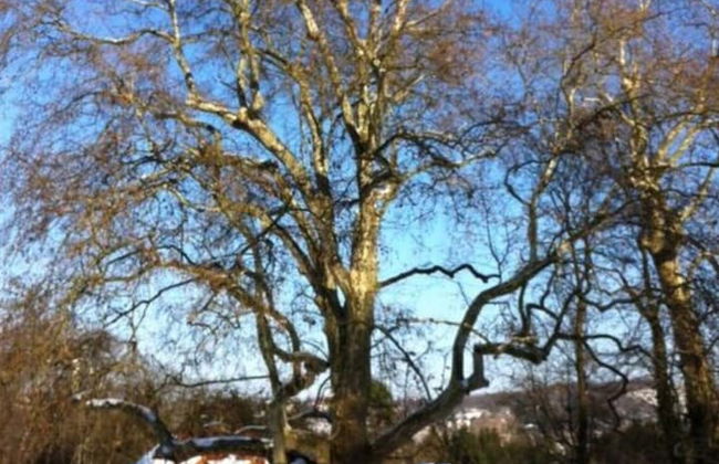 Mey Comfortable Holiday Residence - Photo 30