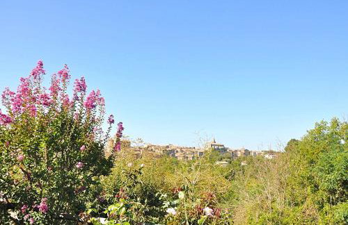 Montecasciano - Tulipano - Foto 31