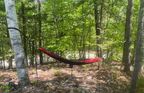 Private Cabin on 1.7 acres w/ Fireplace White Mtns - Photo 37