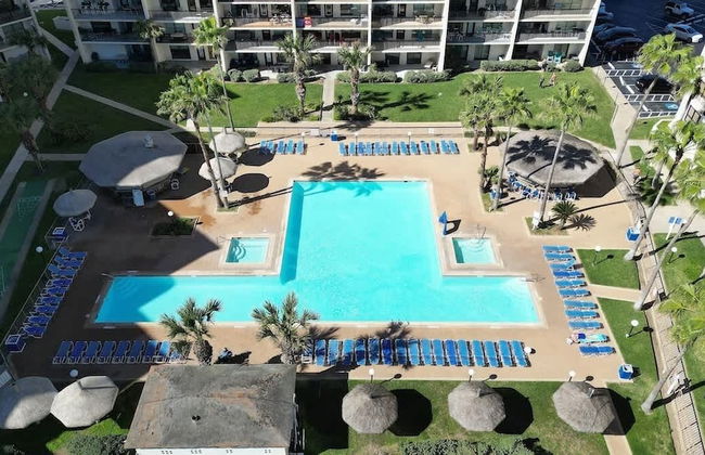 Saida Royale 9039 - Foto 76