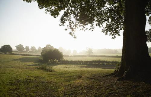 Harrowby End - Photo 32