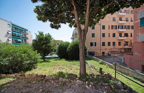 Il ciliegio di Miki - Foto 21