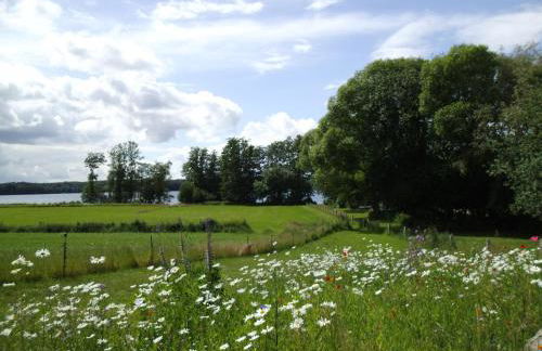 Hof Brooks - Foto 21