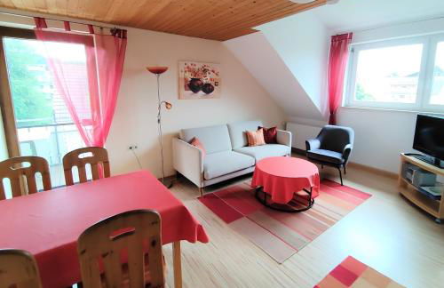 BodenSEE Apartments Daisendorf nahe Meersburg - Foto 20