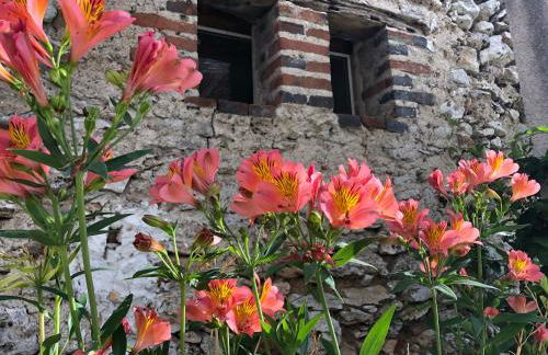 Maison des Sources Touraine -SPA- - Foto 34