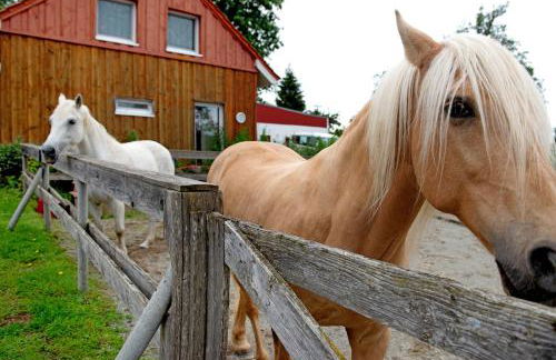 Landhüsli Illmensee - Foto 23