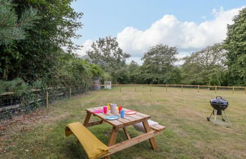 Pentre Court Cottage - Foto 45