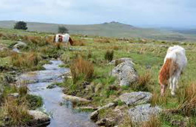 Quirky Loft Apartment in Paignton With sea Views - Foto 20
