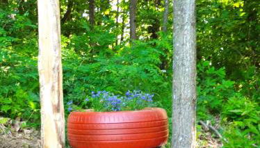 Cascina Marasca Appartamento Viola - Photo 4