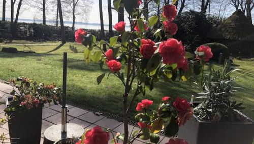 Weißer Berg am Bungeweg - Foto 3, Other