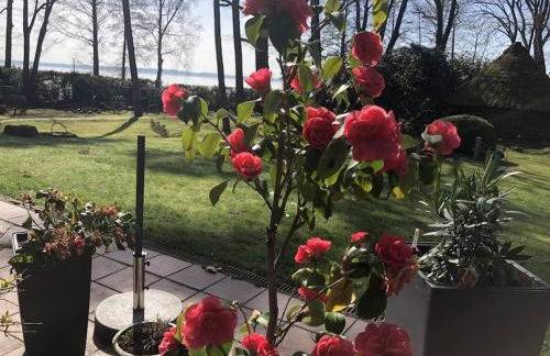 Weißer Berg am Bungeweg - Foto 3