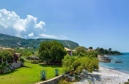 Malsova Studio - Foto 13