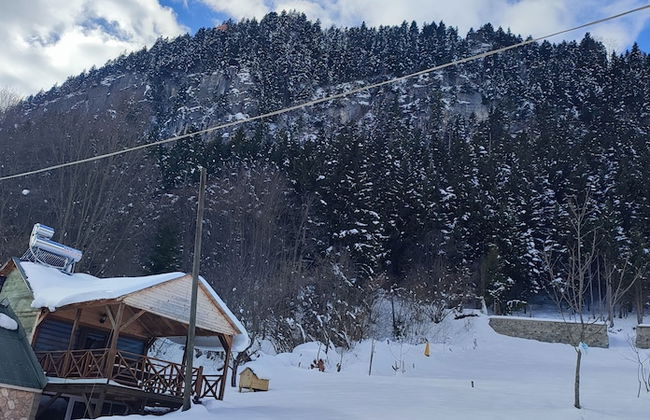 Villa Devor - Foto 52