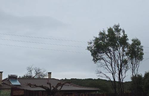 Κτήμα Βασίληγιάννη - Foto 68