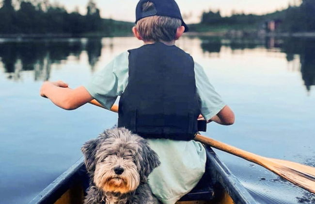 4 Person Holiday Home in Torpshammar-by Traum - Photo 7