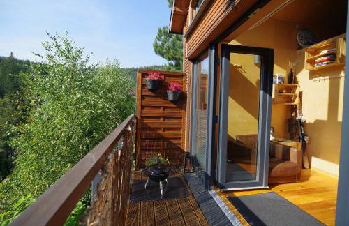 Ski House Szczyrk - Domek Na Kurzej Łapce - Foto 20