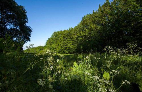 Demeure du Haut Canteloup - Foto 48