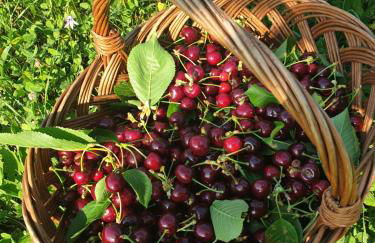 Agriturismo Relais Maddalene101 - Photo 92