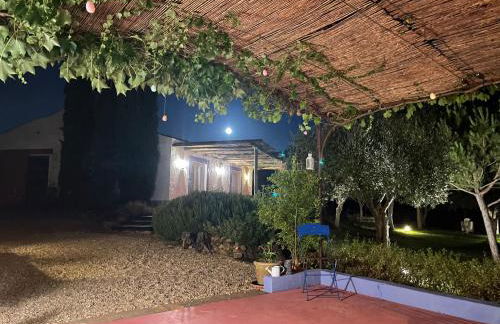 Courela do Monte Novo - Photo 49