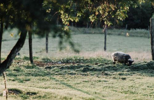 Ranczo w Dolinie - Foto 44