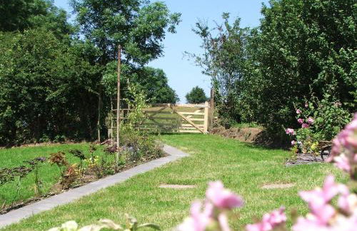 Brynifor Llangrannog - Photo 16