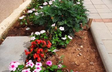 Apartmani Lea - Foto 12