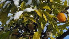 Apartments Barac - Foto 4