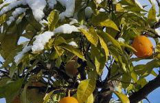 Apartments Barac - Foto 4