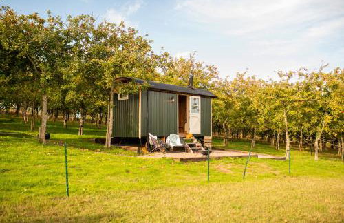 Harrys Hideout - Shepherd's Huts at Harrys Cottages - Foto 1