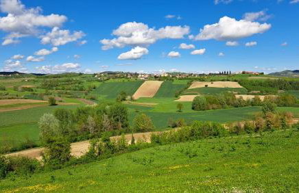 Cascina Fazioli B&B - Foto 48