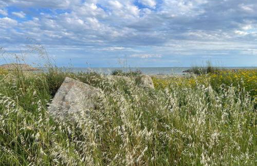 Les pins du Capri - Meublé de tourisme 3 étoiles - Foto 26