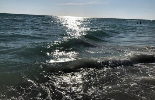 An Island Getaway at Palm Tree Villas - Photo 11