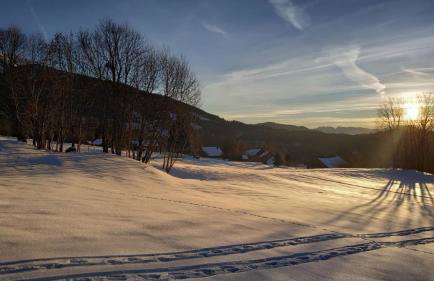 Chalet proche des 7 Laux - Foto 34