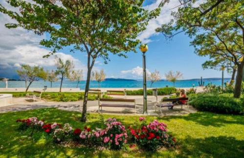 Jolie Ann Marie apartment - Photo 10