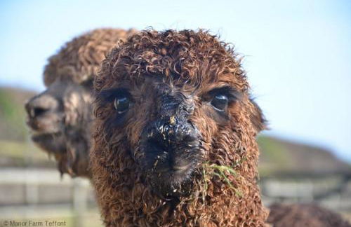 The Garret - Foto 19