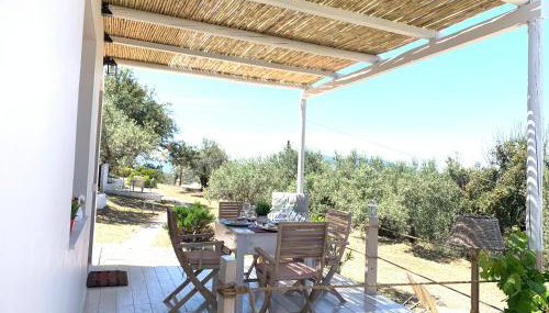 Olive Hill Private House - Foto 2, Garden, Garden view