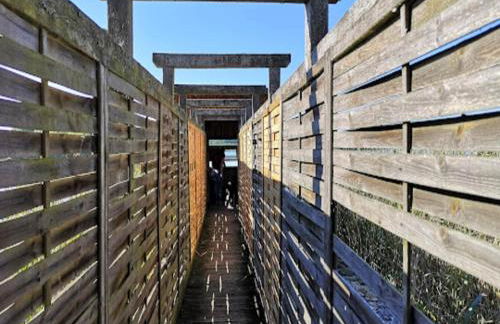 Feriendorf am Weinberg, Dobbrikow - Foto 26