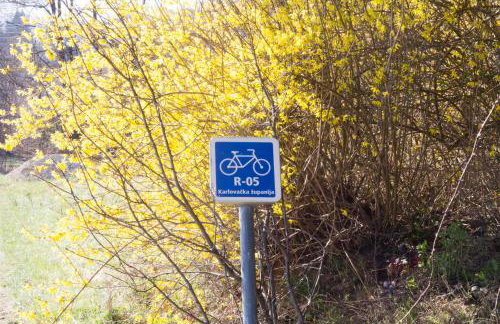 Dorina hiža - Foto 57