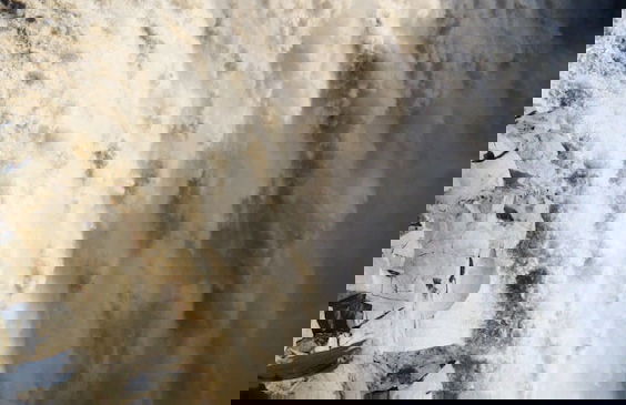 Nordic Natura - Foto 26