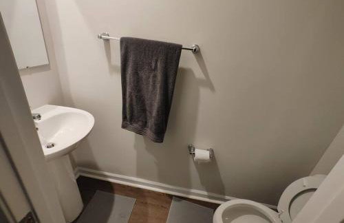 Home away from Home in Charlotte North Lake Norman - Foto 28