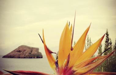 Breathe Nature - Beach House Azores - Foto 17