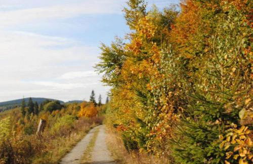 Ferienwohnung in Madfeld nahe Wald - Foto 34