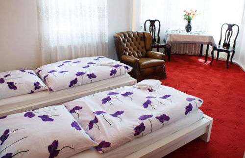 Pension De Lux Königsbrunn - Foto 4