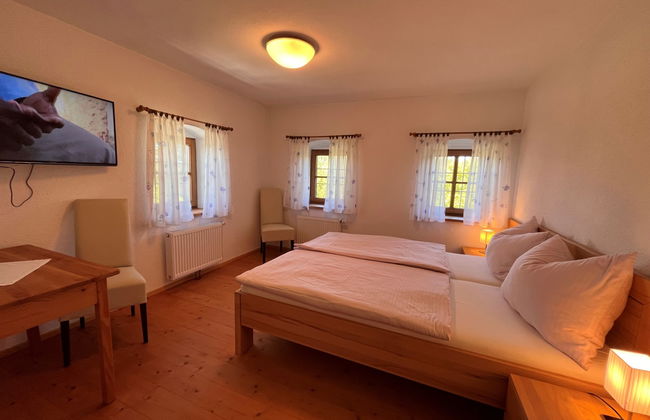 Lehner im Wald - Foto 17