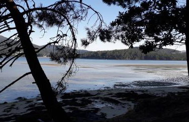 CASA abruñeiras - Foto 15