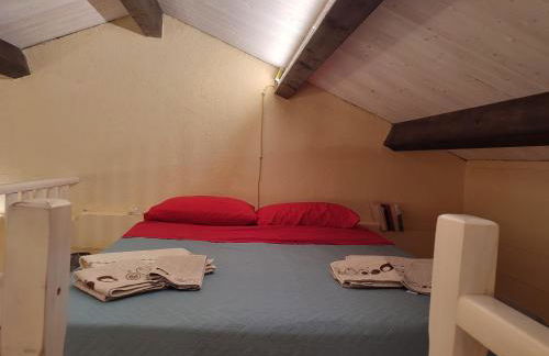 Il giardino dei semplici B&B - Foto 8