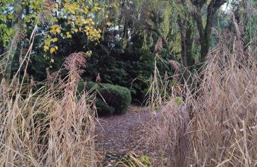 Domek blisko granicy u Darka - Photo 3