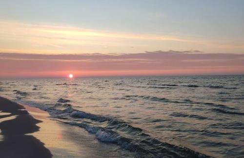 Morska Szyszka & Leśne SPA - Foto 39